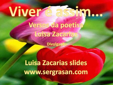 Viver é assim... Versos da poetisa Luisa Zacarias Divulgação