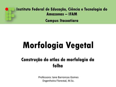 Morfologia Vegetal Construção do atlas de morfologia da folha