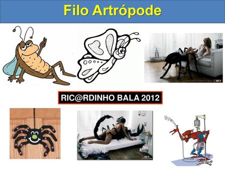 Filo Artrópode RIC@RDINHO BALA 2012.
