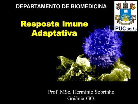 DEPARTAMENTO DE BIOMEDICINA Resposta Imune Adaptativa