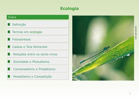 Ecologia Definição Termos em ecologia Fotossíntese