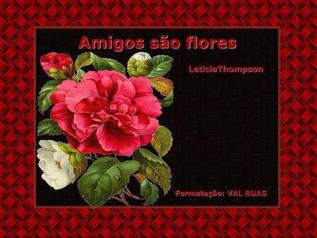Amigos são flores    LetíciaThompson Formatação: VAL RUAS.