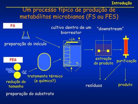 Um processo típico de produção de metabólitos microbianos (FS ou FES)