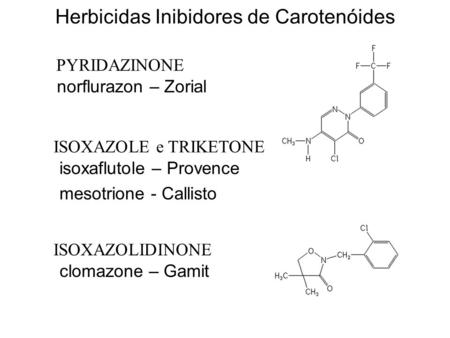 Herbicidas Inibidores de Carotenóides