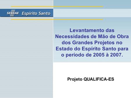 Levantamento das Necessidades de Mão de Obra dos Grandes Projetos no Estado do Espírito Santo para o período de 2005 à 2007. Projeto QUALIFICA-ES.