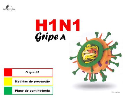 H1N1 Gripe A O que é? Medidas de prevenção Plano de contingência