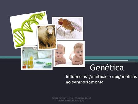 Influências genéticas e epigenéticas no comportamento