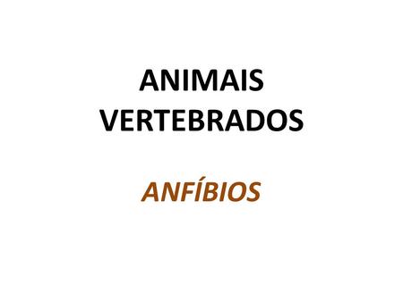 ANIMAIS VERTEBRADOS ANFÍBIOS.