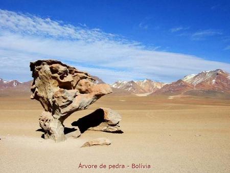 Árvore de pedra - Bolívia