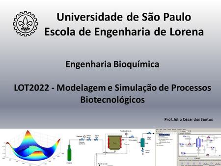 Universidade de São Paulo Escola de Engenharia de Lorena