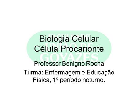 Biologia Celular Célula Procarionte