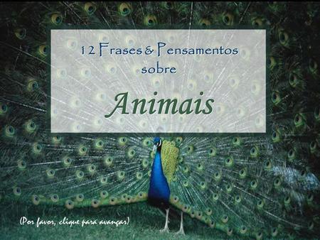 12 Frases & Pensamentos sobre Animais