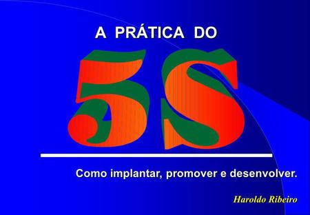 A PRÁTICA DO Como implantar, promover e desenvolver. Haroldo Ribeiro 1.