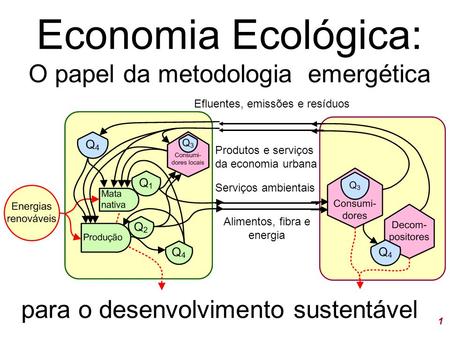 Economia Ecológica: O papel da metodologia emergética