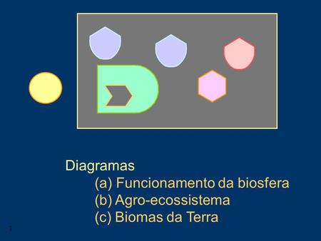 Consumidor Diagramas (a) Funcionamento da biosfera (b) Agro-ecossistema (c) Biomas da Terra.