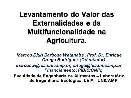 Marcos Djun Barbosa Watanabe , Prof. Dr