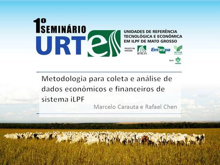 Metodologia para coleta e análise de dados econômicos e financeiros de sistema iLPF Marcelo Carauta e Rafael Chen.