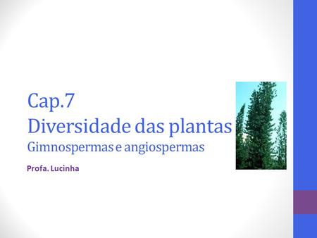 Cap.7 Diversidade das plantas Gimnospermas e angiospermas