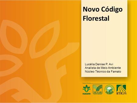 Novo Código Florestal Lucélia Denise P. Avi Analista de Meio Ambiente