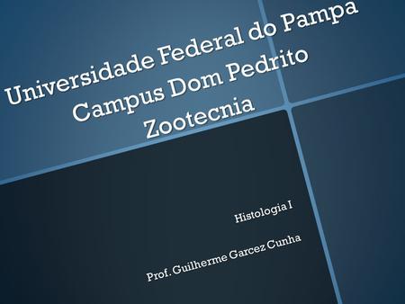 Universidade Federal do Pampa Campus Dom Pedrito Zootecnia