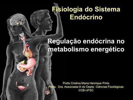 Fisiologia do Sistema Endócrino