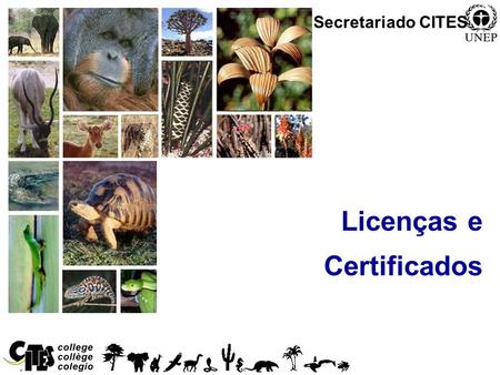 Secretariado CITES Licenças e Certificados.