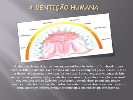 A DENTIÇÃO HUMANA No decorrer da sua vida, o ser humano possui duas dentições: a 1º conhecida como dentes de leite, é a decídua; ela é formada até 3.