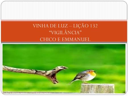 VINHA DE LUZ – LIÇÃO 132 “VIGILÂNCIA” CHICO E EMMANUEL.