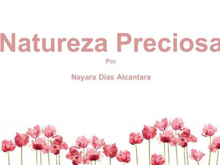 Natureza Preciosa Por Nayara Dias Alcantara. Natureza Preciosa A linha Natureza Preciosa se propõe a trazer mais ar puro para o cotidiano para a ‘’selva.