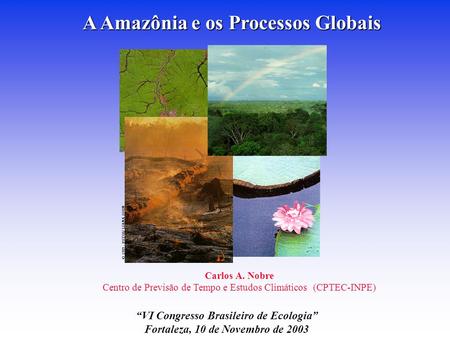 A Amazônia e os Processos Globais