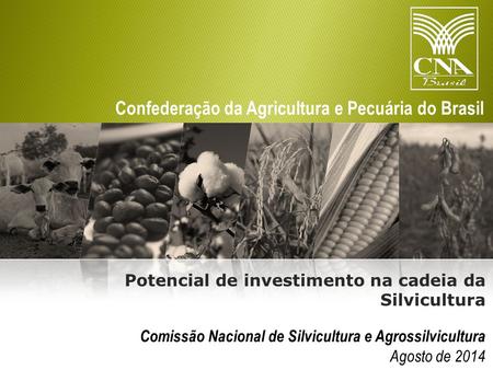 Potencial de investimento na cadeia da Silvicultura