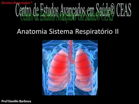 Anatomia Sistema Respiratório II Parte II