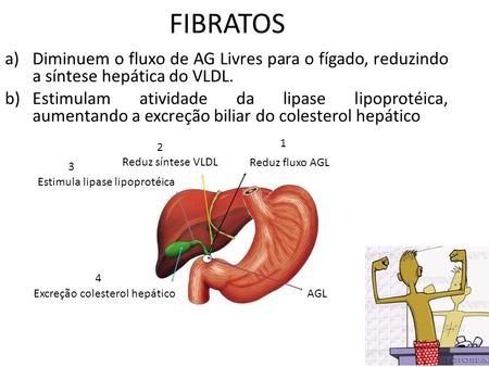 FIBRATOS Diminuem o fluxo de AG Livres para o fígado, reduzindo a síntese hepática do VLDL. Estimulam atividade da lipase lipoprotéica, aumentando a excreção.