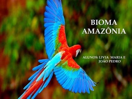 BIOMA AMAZÔNIA ALUNOS: LIVIA MARIA E JOÃO PEDRO Amazônia.