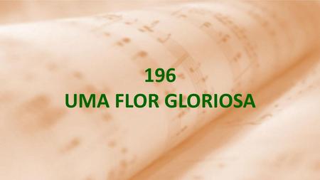 196 UMA FLOR GLORIOSA.