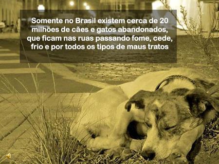 Somente no Brasil existem cerca de 20 milhões de cães e gatos abandonados, que ficam nas ruas passando fome, cede, frio e por todos os tipos de maus tratos.