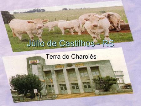 Júlio de Castilhos - RS Terra do Charolês. Sentir-se bem aqui é tudo o que importa.