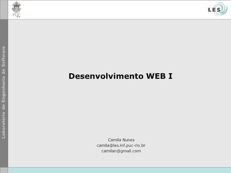Desenvolvimento WEB I Camila Nunes