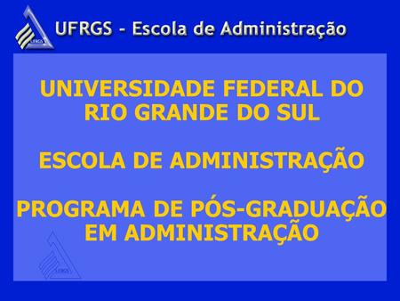 UNIVERSIDADE FEDERAL DO RIO GRANDE DO SUL ESCOLA DE ADMINISTRAÇÃO PROGRAMA DE PÓS-GRADUAÇÃO EM ADMINISTRAÇÃO.