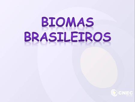 Biomas brasileiros.