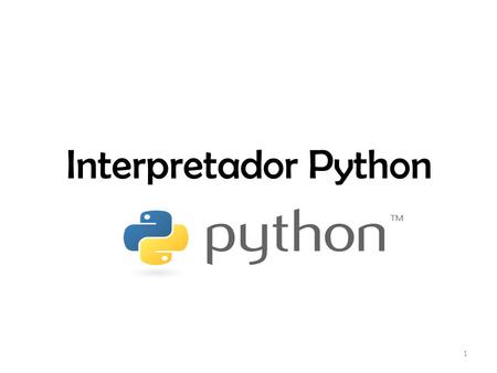 Interpretador Python.