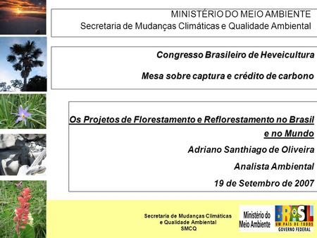MINISTÉRIO DO MEIO AMBIENTE Secretaria de Mudanças Climáticas e Qualidade Ambiental Congresso Brasileiro de Heveicultura Mesa sobre captura e crédito de.