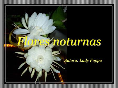 Flores noturnas Flores noturnas Autora: Lady Foppa.