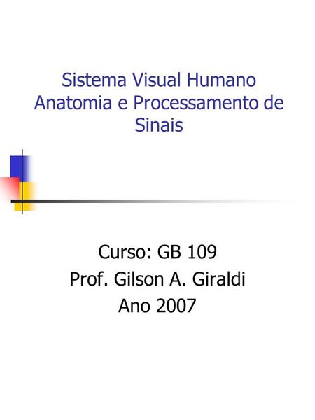 Sistema Visual Humano Anatomia e Processamento de Sinais