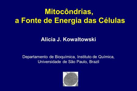 Alicia J. Kowaltowski Departamento de Bioquímica, Instituto de Química, Universidade de São Paulo, Brazil Mitocôndrias, a Fonte de Energia das Células.