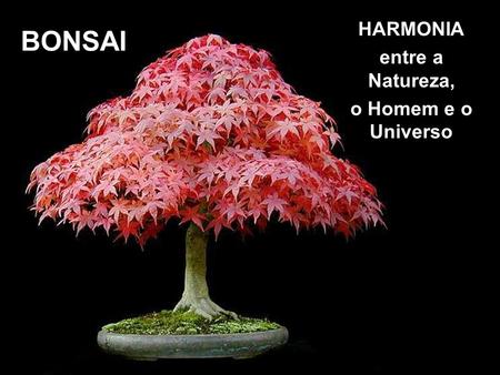 HARMONIA entre a Natureza, o Homem e o Universo