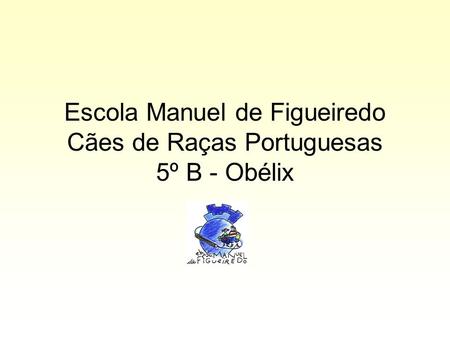 Escola Manuel de Figueiredo Cães de Raças Portuguesas 5º B - Obélix