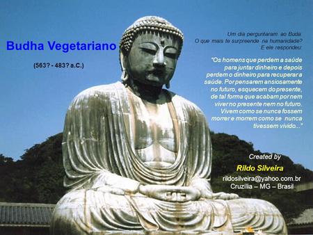Budha Vegetariano Rildo Silveira Created by
