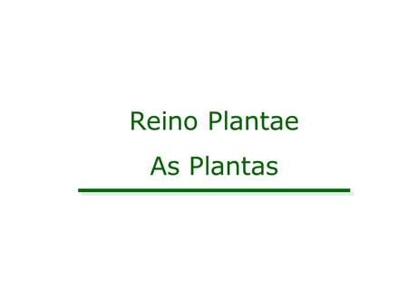 Reino Plantae As Plantas