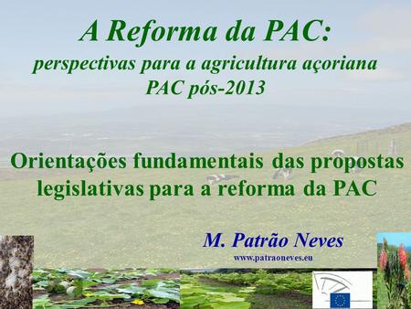 M. Patrão Neves M. Patrão Neves www.patraoneves.eu A Reforma da PAC: perspectivas para a agricultura açoriana PAC pós-2013 Orientações fundamentais das.